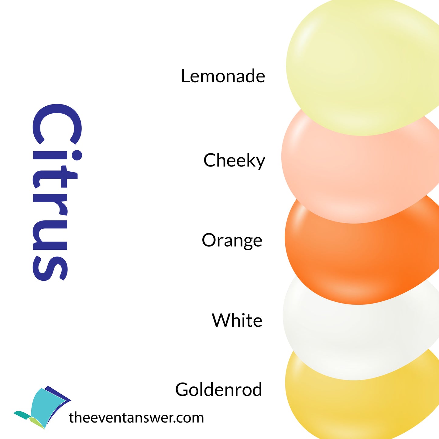 Organic Balloon Garland Kit - Citrus